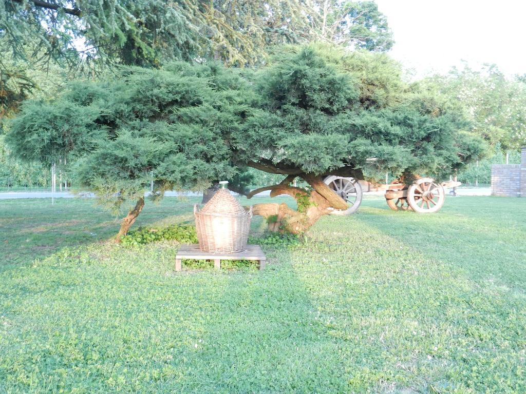 R&B Locanda Le Bighe Cona  Dış mekan fotoğraf